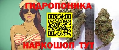 a pvp Тула