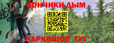 прущие грибы Тулун